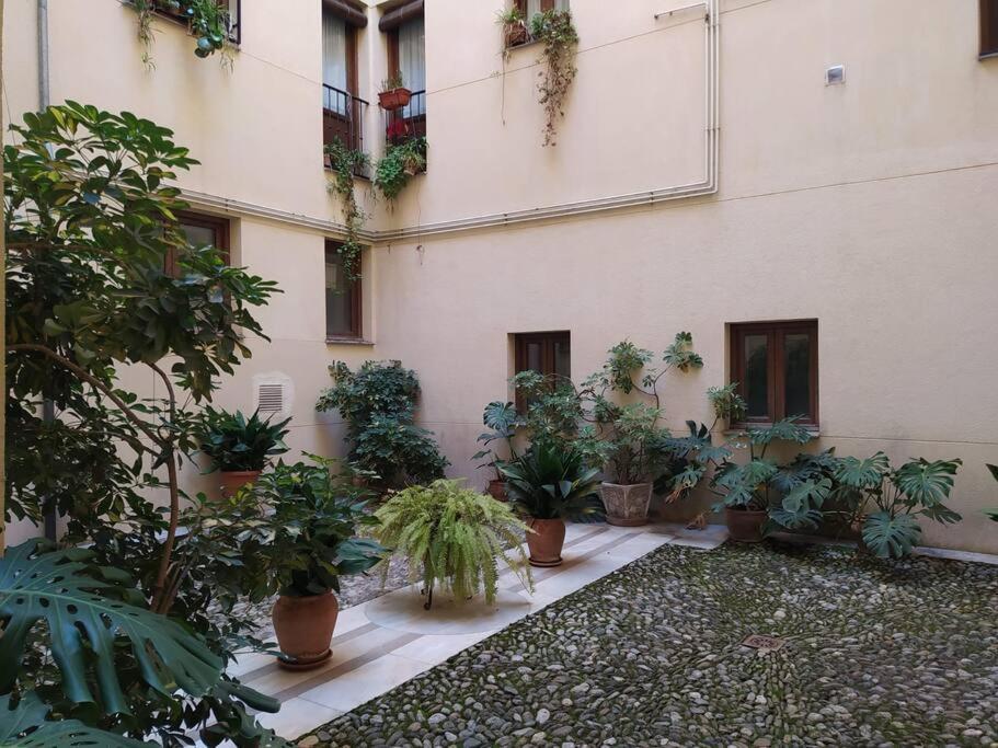 Appartement 4 Balconies House, And Near The Alhambra